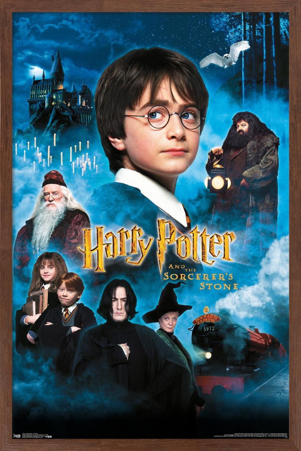 Harry Potter à l'école des sorciers - Bougies One Sheet