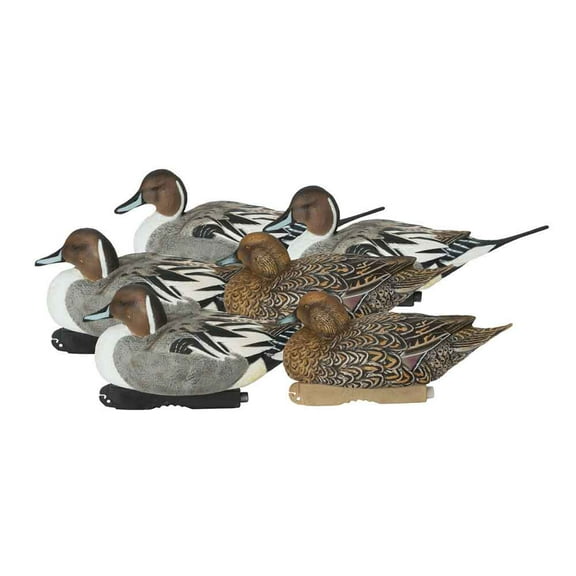 Avery/GHG GHG Pro-Grade XD Series Pintail Harvester Duck Decoys, 6 Pack