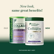 Great Lakes Quick Dissolve Collagen Peptides Daily Wellness Joint Powder, Classic Caramel (8 oz)