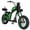 GREEN, variant on BIGNIU BG-X PRO Class 2 Electric Bike for Adults, 749W Rated Motor, 52V 29.4Ah Battery, 20 MPH Max Assist Speed, Fat Tire Electric Cruiser with Dual Suspension & Hydraulic Disc Brakes