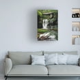 thumbnail image 2 of Trademark Fine Art 'Elakala Falls West I' Canvas Art by Alan Majchrowicz, 2 of 4