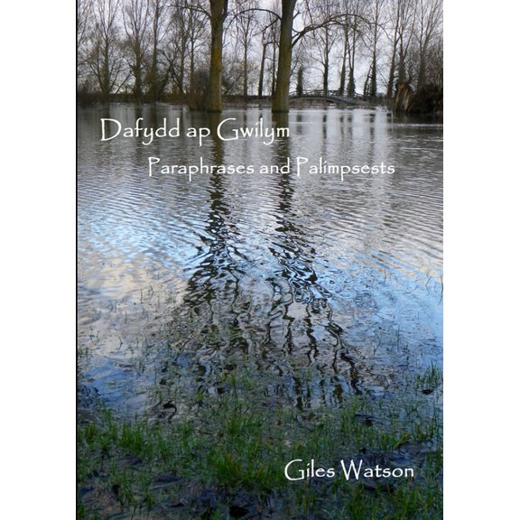 Dafydd ap Gwilym: Paraphrases and Palimpsests (Paperback)