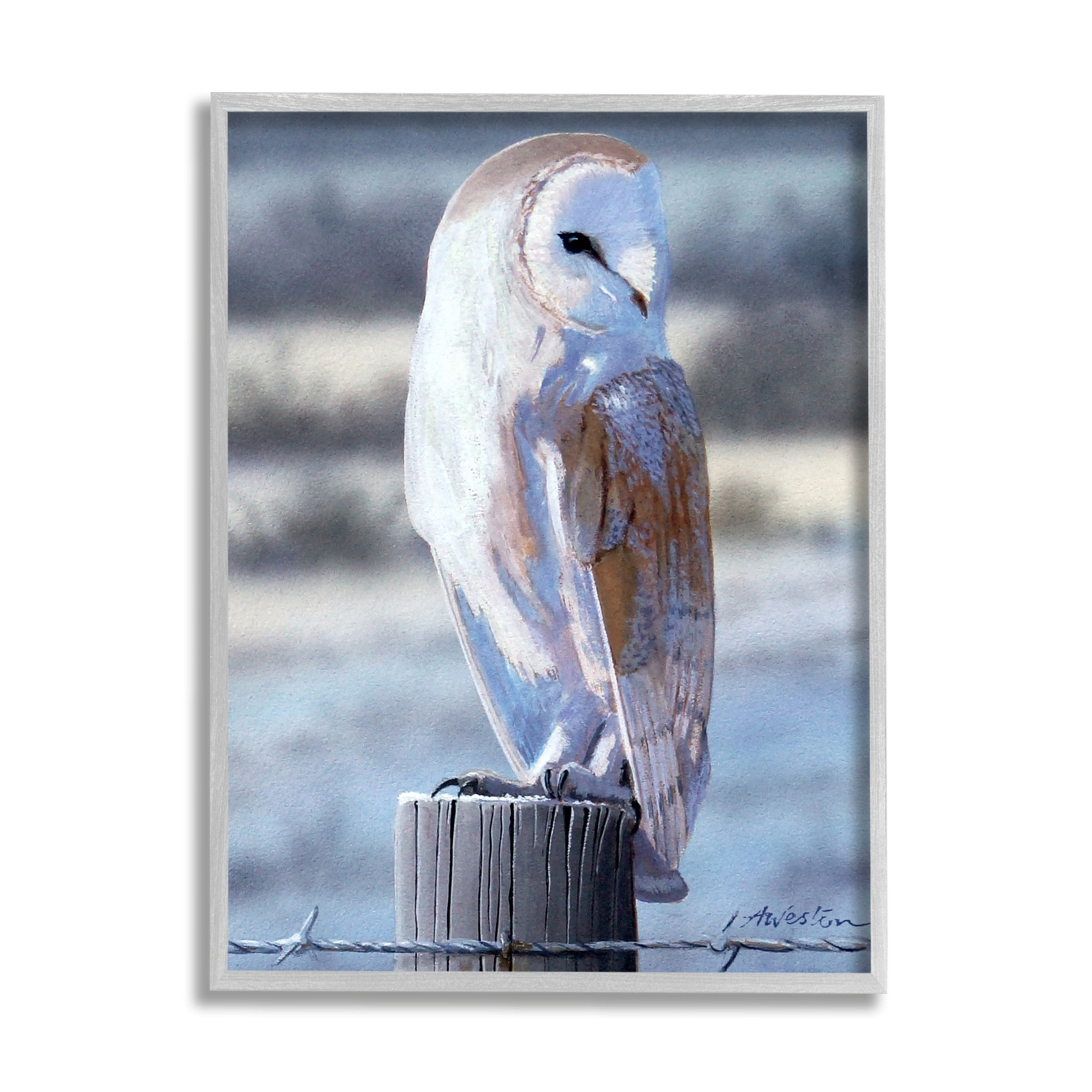 Stupell Industries Serene Barn Owl Perched Snow Dusted Fence Photograph Gray Framed Art Print Wall Art, Design by Alan Weston
