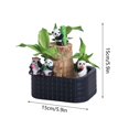 thumbnail image 3 of Desktop Ornament,Brazilwood Easy To Grow Indoor Tabletop Hydroponic Planter Green For Home And,Home Decor, 3 of 6