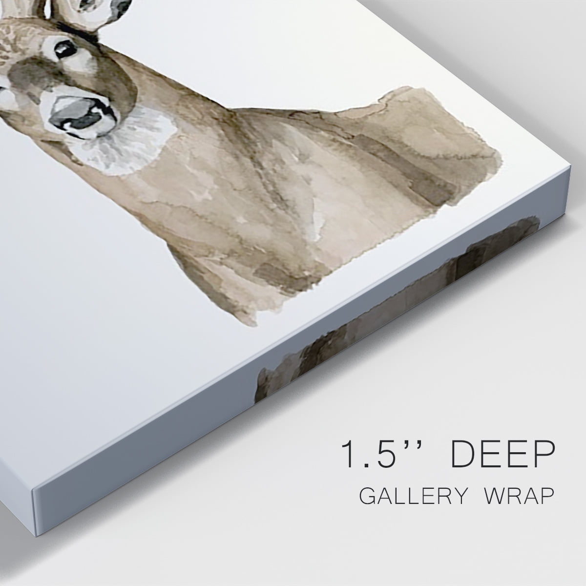 Handsome Whitetail I Premium Gallery Wrapped Canvas - Ready to Hang