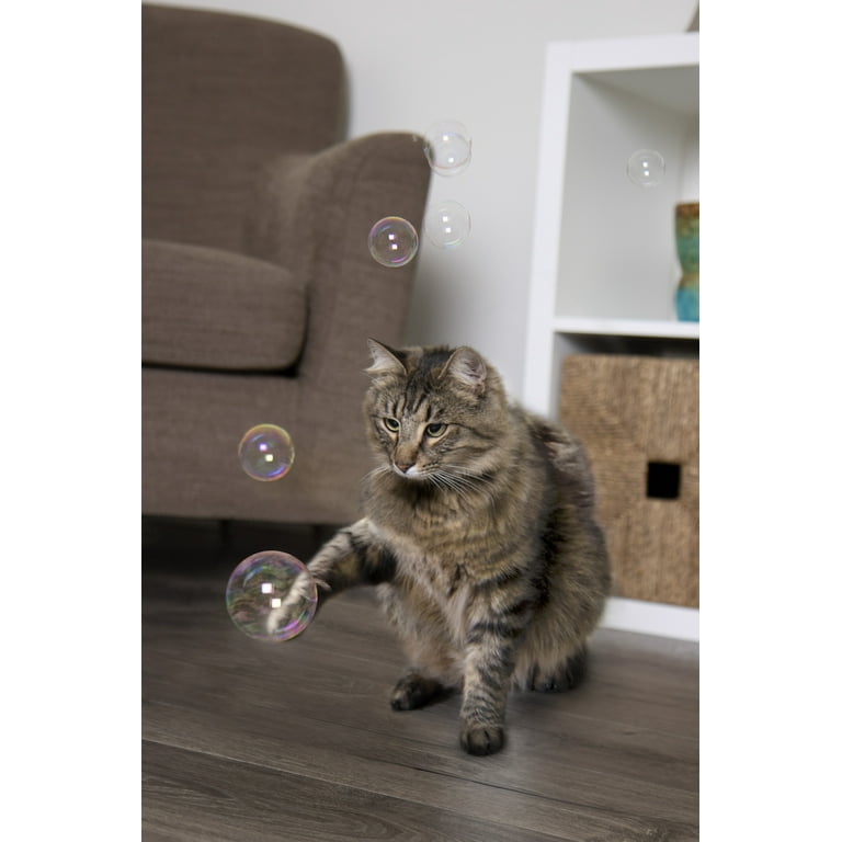 Bubble nip top for cats