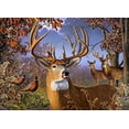 thumbnail image 2 of Cobble Hill - 1000-Piece Puzzle (DEER AND PHEASANT), 2 of 2