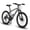 Black&Grey, variant on POVANLI 24" Steel Frame Mountain Bike for Boys Girls, with 21 Speeds Dual Disc Brakes and Front Suspension MTB, Black&Grey (Gift)