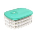 thumbnail image 1 of Food Storage Holder Anti-stick Moisture-Proof High Capacity Good Sealing 3D Frosted Bottom Storage BPA Free Quick Froze Dumpling Storage Box for Kitchen, 1 of 7