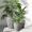 Gray, variant on Planters Set of 3, Big Round Outdoor Indoor Garden Pots with Drainage Hole & Rubber Plug, 17/13/9 Inch Diameter, Large Indoor Flower Pot, Planter Set, Large Urn Planter, Bonsai Planter
