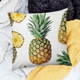 thumbnail image 2 of SHANXI Art Plant Fruit Illustration White Summer Fruit Pillowcases Sofa 18x18in, 2 of 5