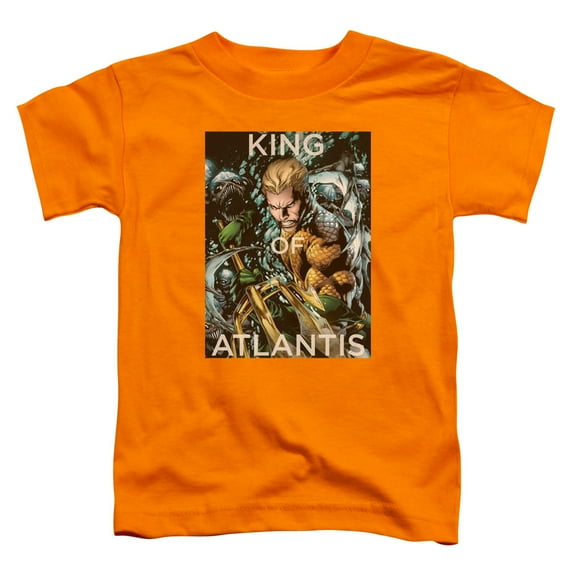 Jla - King Of Atlantis - Toddler Short Sleeve Shirt - 4T