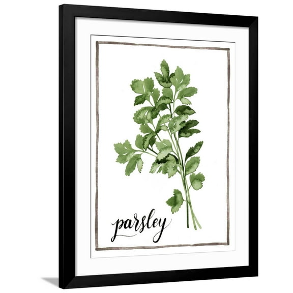 Art.com Watercolor Herbs II Art Print by Grace Popp, Black Frame Wall Art, 32" x 40"
