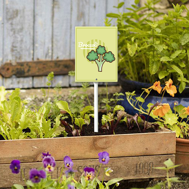 Eveokoki Vegetable Signs For Garden With Stake Broccoli Yard Sign Vegetable Garden Label Stakes Plant Markers For Outdoor Plants Waterproof 8x12inch Nursery Garden Fruit Outdoor Sign