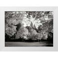 thumbnail image 3 of Vitaly Geyman 32x24 White Modern Wood Framed Wall Art Titled - Fall Maple Fever V BandW, 3 of 5