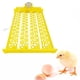 thumbnail image 5 of de huevos, de 12 V, bandeja volteadora automática, 88 huevos, de plástico para Motor Mini 12V Colco bandeja volteadora incubadora de huevos, 5 of 7
