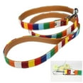 thumbnail image 1 of MOVTOTOP Colorful Striped Canvas Rainbow Lead Leash Leather Dog Set Leash Handle Rope Size M, 1 of 4