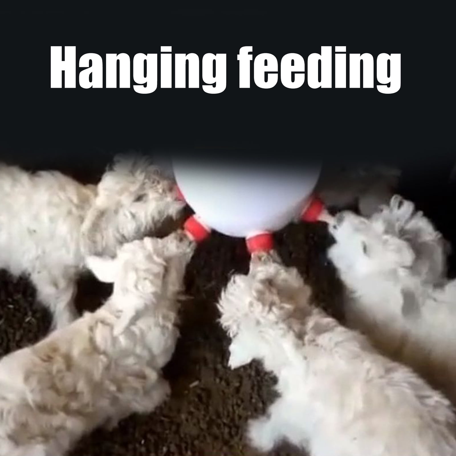 Portable Nurseries Weaner Cow Ranch Tool Calfs Feeding Baby Bottles Feeders for Various Species with User Friendly