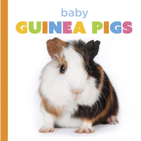 Starting Out Baby Guinea Pigs, (Paperback)