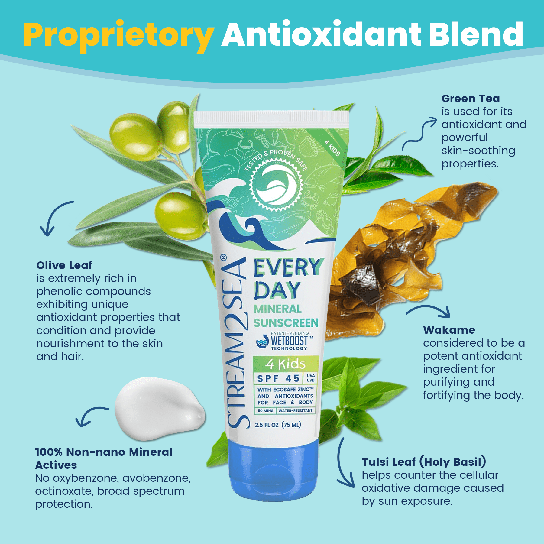 Stream2Sea SPF 45 Biodegradable Reef Safe Kids Mineral Sunscreen, Paraben Free -  2.5 fl oz