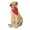 Red, variant on 5-Pack Paisley Cotton Dog Scarf Triangle Bibs - XL & Washable (Red)