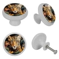 thumbnail image 4 of Leopard Round Glow-in-the-Dark Dresser Knobs: Fluorescent Drawer Pulls with Screws - 4 Pack - Suitable for Cabinets, Wardrobes, and Dressers, 4 of 6