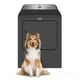 thumbnail image 1 of Secadora Carga Superior Gas 25 kg Pet Pro System	7MMGD6500RB, 1 of 5
