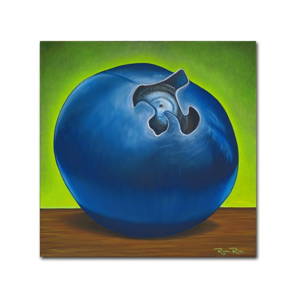 Trademark Fine Art 'Blueberry Pi' Canvas Art by Ryan Rice Fine Art