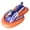 1 Set, variant on 2-in-1 Shark Inflatable Jet Water Ski-On Pool Floatie Water Soaker Thick PVC Stable Wide Base Up to 75kg (165 lbs) for Adults Summer Lake Beach Pool Party