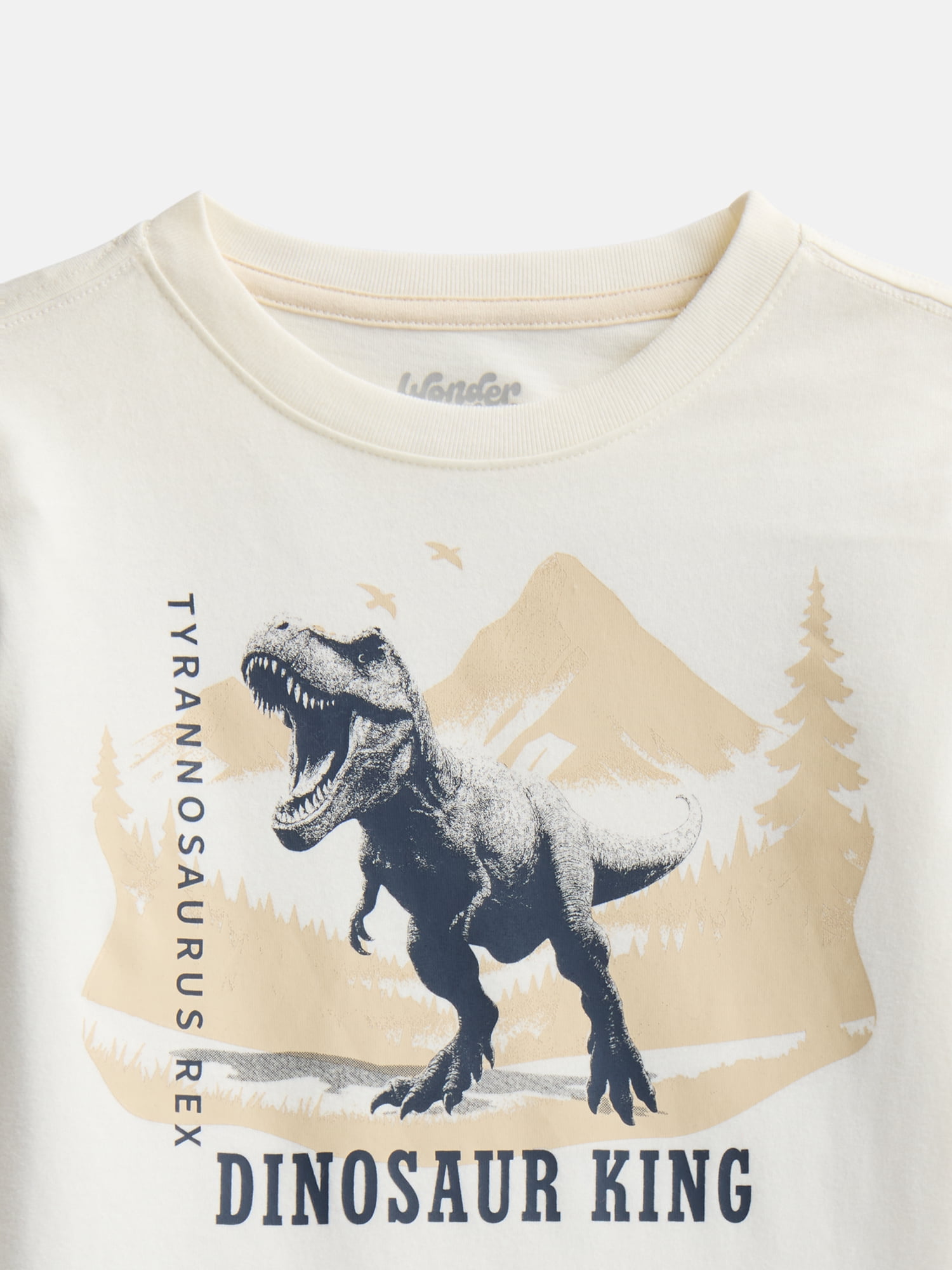 Wonder Nation Little Boys Graphic Tee with Long Sleeves, Sizes 4-18