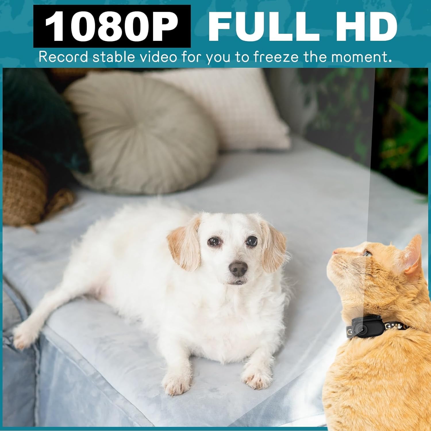 Mini Body Camera, 1080p Wearable Thumb Size Cam with Charging Case, Pet Camera, POV Cam with Motion Detection, Photo Shooting, Video Recording for Cat, Dog, Sport, Waterproof, Black