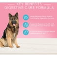 thumbnail image 4 of Flexi Laisse Rétractable pour Chien en Corde de Nylon Classique, Noir, Moyen : 8 m de long, 4 of 5