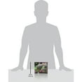 thumbnail image 4 of Pokemon Trading Card Game Scarlet & Violet 6.5 Shrouded Fable Elite Trainer Box, 4 of 9