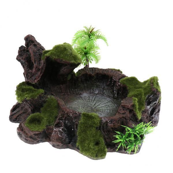 3 De Resina Para Comida, De Agua, Alimentador Para Terrario, Tanque De Reptiles Sunnimix Plato de agua de comida para reptiles