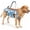 Blue camouflage, variant on Dog Full Body Lift Harness, Support Sling Backpack for Senior Disabled Dogs, Front Hind Leg Joint Injuries, Help Up & Down Stairs Walk Hiking Grooming Harness, Reflective, Soft Padded Handle