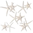thumbnail image 3 of Nautical Crush Trading Nautical Beach Wedding Starfish Wall Decor, Set of 10, 3 of 6
