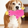 thumbnail image 1 of Durable Interactive Pet Toy with Squeaker for Puppy Training and Biting, 1 of 4