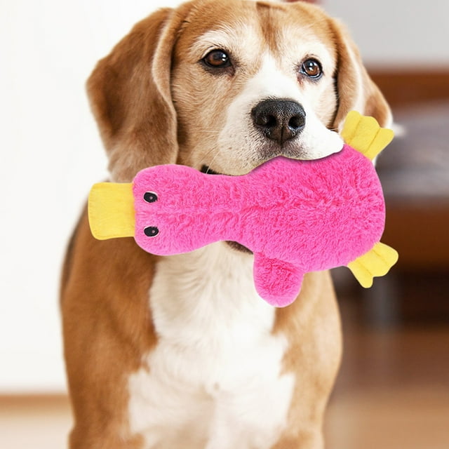Durable Interactive Pet Toy with Squeaker for Puppy Training and Biting for All Dog Sizes