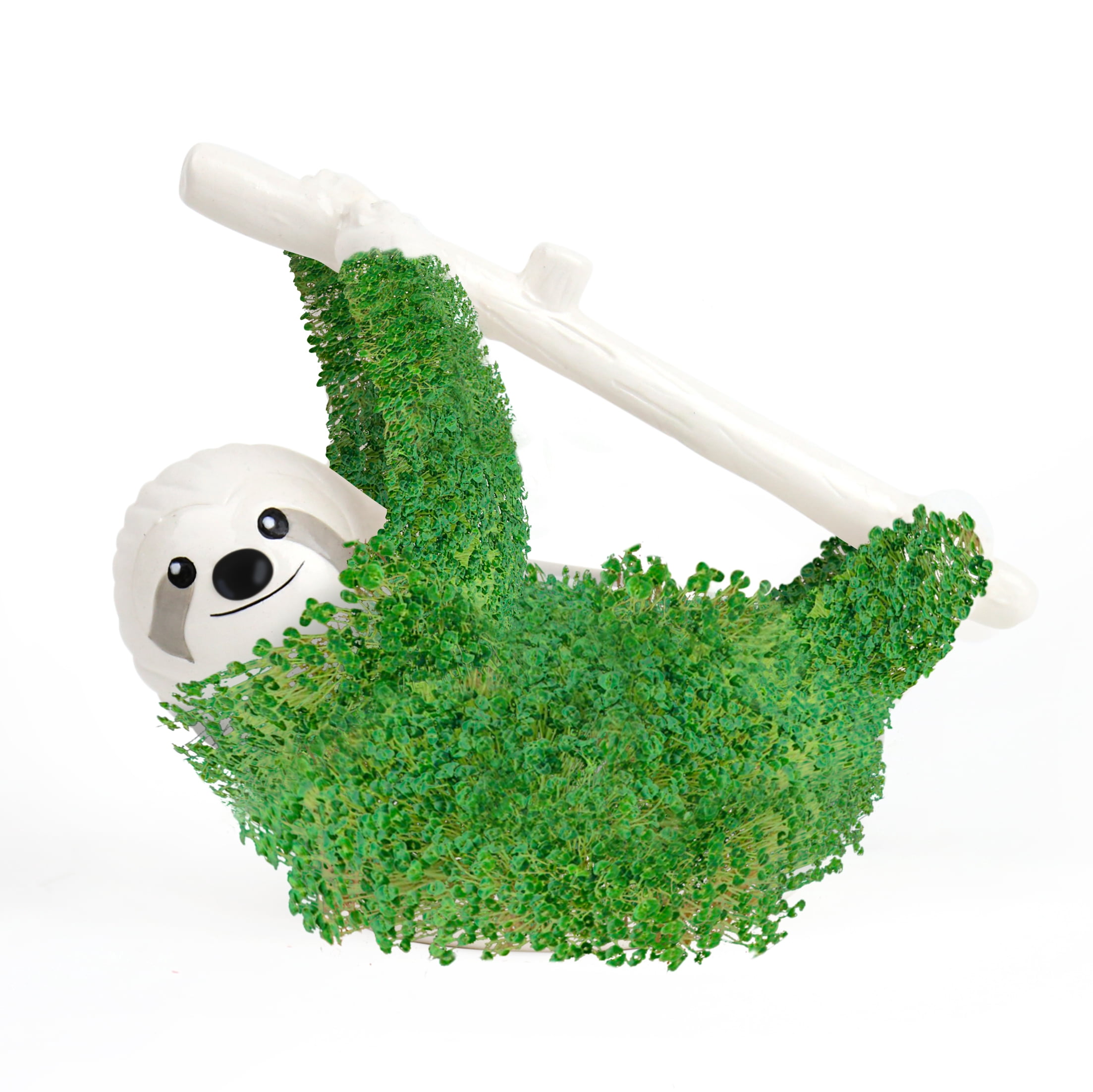 Sloth Shaped Chia Planter and Seeds - Desktop Sprouting Chia Animal - Fun Grow Kit Gift Idea
