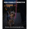 thumbnail image 4 of Dog Collars for Small Dogs, Reflective Nylon Pet Collar with Quick Release Buckle, Small Dog Collar for Boys, 4 of 9