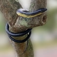 thumbnail image 6 of Realistic Rubber Snake Black Mamba Toy 52 Inch Long (52 Inch 1pc), 6 of 7