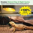 thumbnail image 3 of 2 Pack 100W Reptile Heat Lamp Bulbs, Full Spectrum UVA/UVB Light and Basking Spot Light for Reptiles, 3 of 4