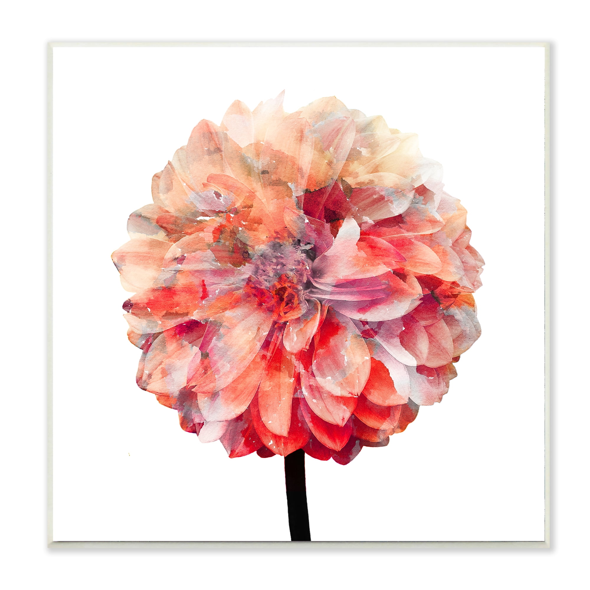 The Stupell Home Decor Bright Coral Watercolor Bloom Dahlia Flower Wall Plaque Art - Walmart.com