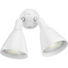Two-Light Adjustable Swivel Flood Light