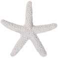 thumbnail image 2 of 75 Pieces Creamy-White Pencil Finger Starfish for Wedding Decor, Home Decor and Craft Project, 2 of 6