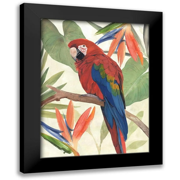 Warren, Annie 12x14 Black Modern Framed Museum Art Print Titled - Tropical Parrot Composition II