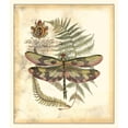 thumbnail image 3 of Vision Studio 20x23 Black Modern Framed Museum Art Print Titled - Regal Dragonfly IV, 3 of 5