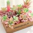 thumbnail image 3 of 12 Uds flocado Rosa simulación flor suculenta cabeza arreglo floral accesorios DIY suministros plantas verdes artificiales, 3 of 5