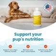 thumbnail image 3 of Paramount Pet Health Omega-3 Fish Oil Dog & Cat Supplement 2 oz., 3 of 10