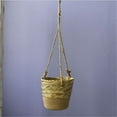 thumbnail image 6 of Vikakiooze 2023 Home Storage and Organization Hanging Basket Coconuts Fiber Planter Inserts Replacement Liner For Flower 6PS, 6 of 7